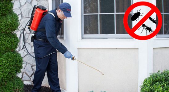 Dereli Hamam Böceği İlaçlama böcek ilaçlama ve haşere kontrolü — ilaclama-tr.com